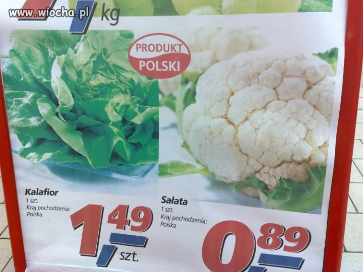 Kalafior kontra sałata