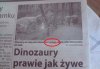 Ruchliwe dinozaury 