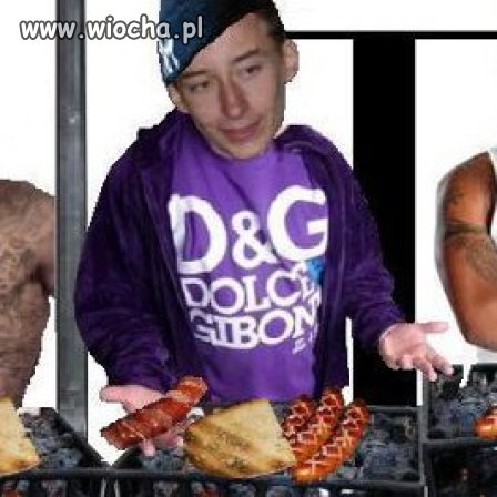 Dolce i Gibony