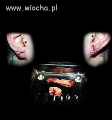 Obcięte uszy- lans na facebook'u