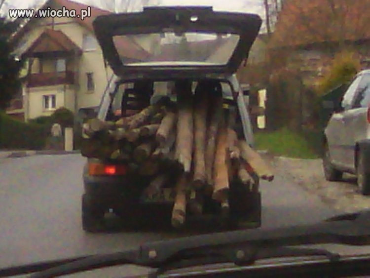 Polak potrafi