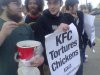 KFC torturuje 