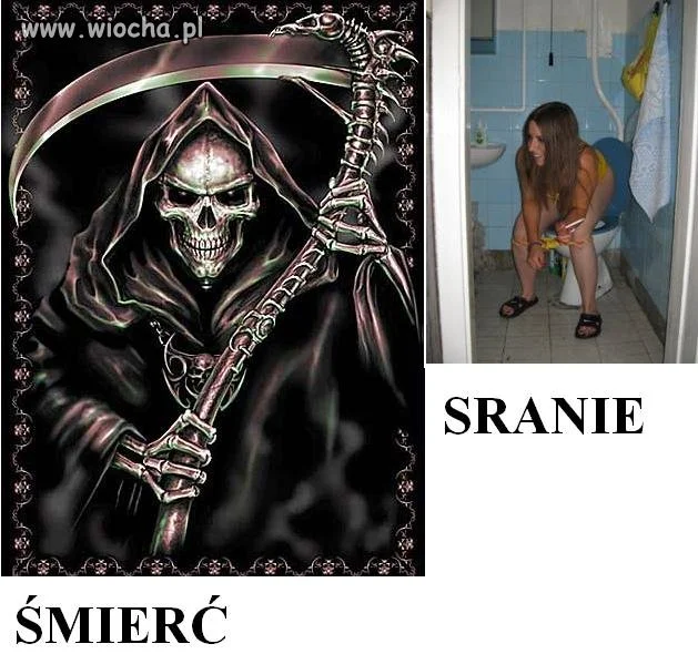 Życiowa mądrość