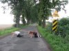 Nic dodać, nic ująć