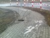Drzewo na środku chodnika, koło pasów...