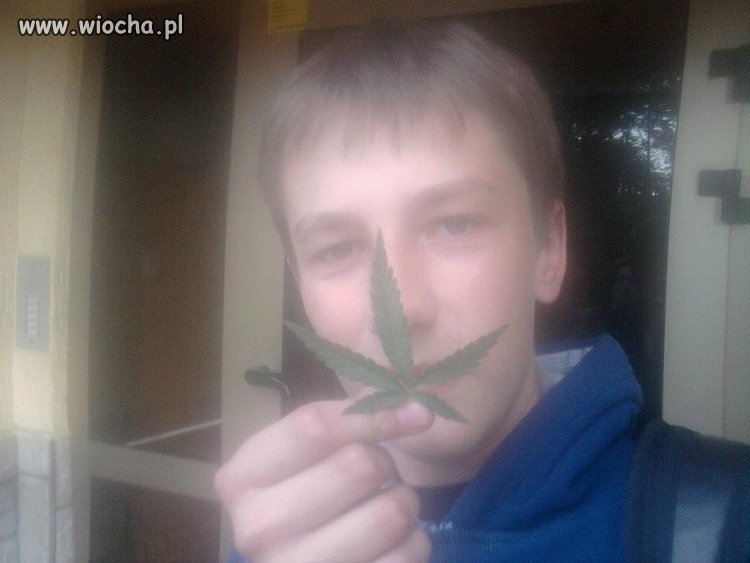 Dzisiejszy Diler