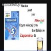 Alkochol ? 