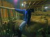 Prawie jak rodeo