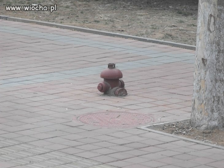 Hydrant