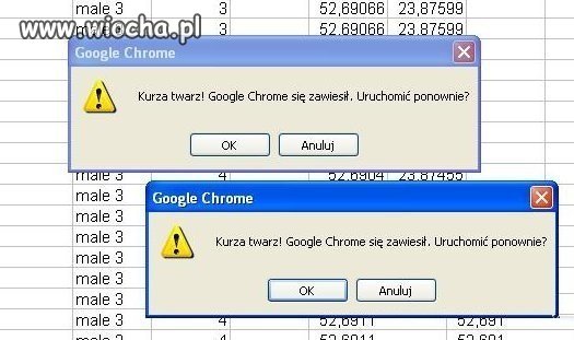 Google z pierzastą twarzą.