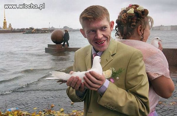 Gołąbeczki 