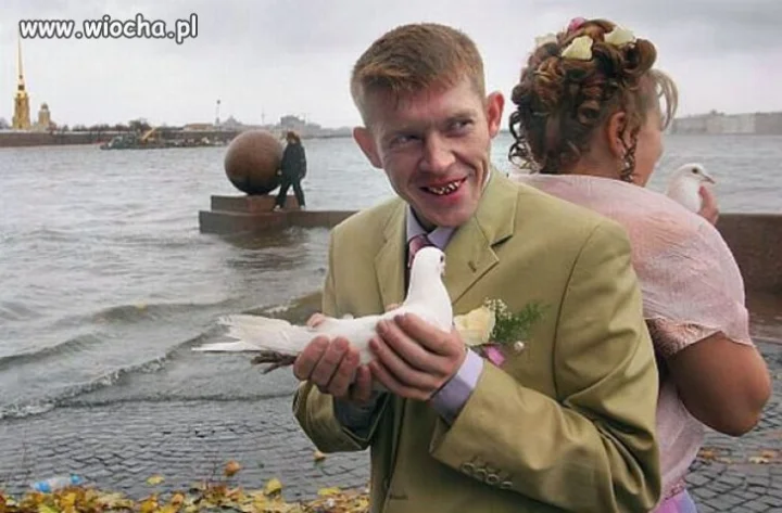 Gołąbeczki 