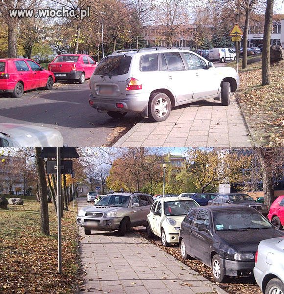 Z cyklu mistrzowie parkowania