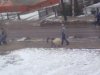 Wyjść z kozą na spacer
