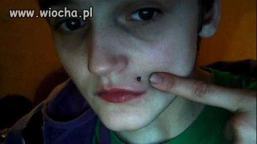 Opis pod zdjęciem: