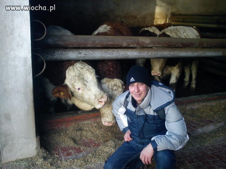 Fotka w oborze...
