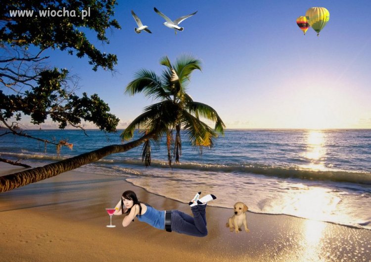 Nie ma to jak wakacje na Bahama! 