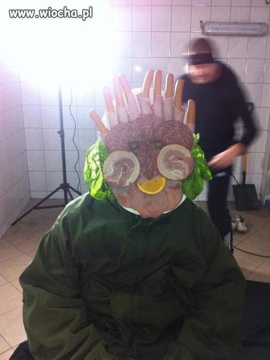 Mięsny jeż na żywo 