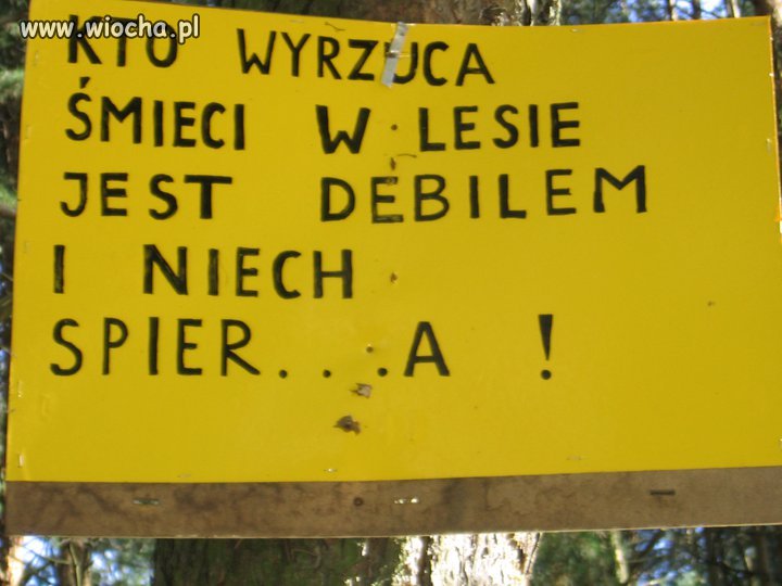 Czysta prawda!!!