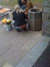 Zobaczcie mojego rowa