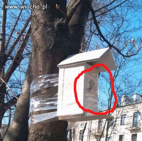 Bez komentarza