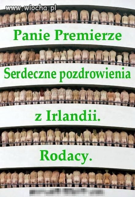 Pozdrowienia 