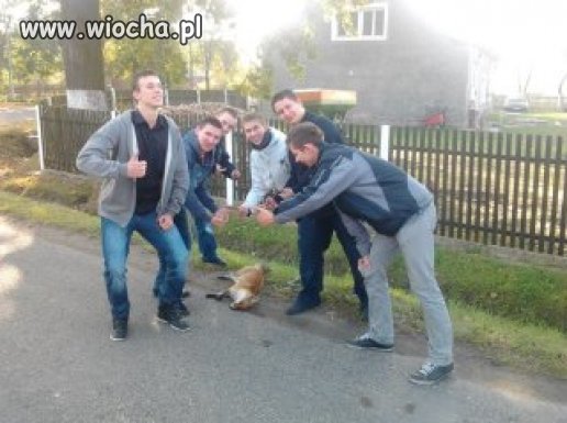 To się właśnie nazywa kretynizm