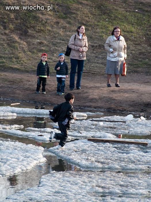 Zabawy dzieci pod opieką dorosłych...