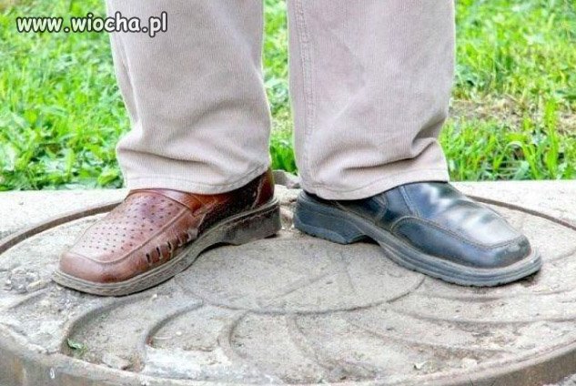 Trendy tego lata 