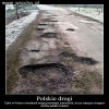 Tylko w Polsce są drogi dla niewidomych