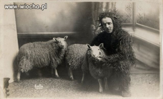 Wśród swoich