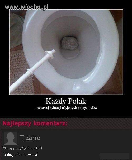 Wingardium Leviosa – zaklęcie, które wprawiało dany przedmiot w lewitację