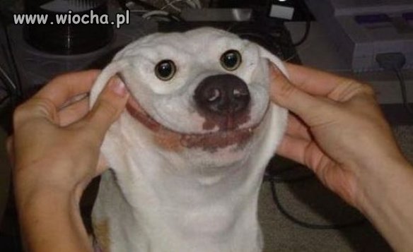 Bardzo śmieszne...