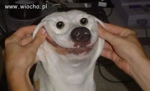 Bardzo śmieszne...