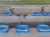Stadion