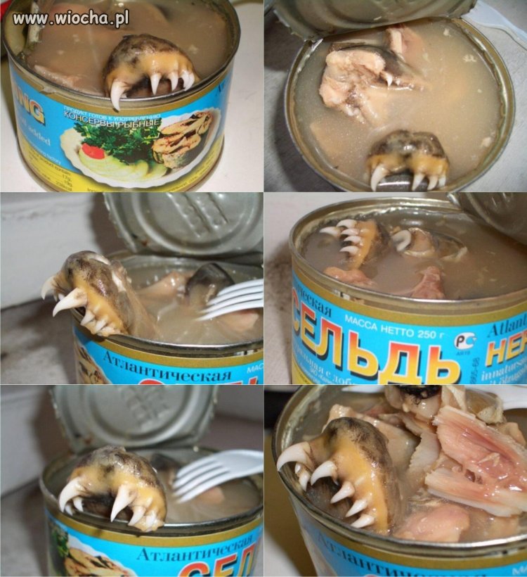 консервы рыбные