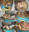 консервы рыбные