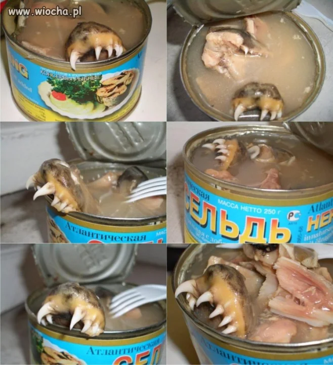 консервы рыбные