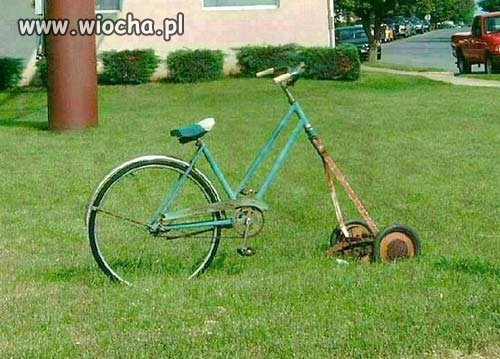 Sezon trawnikowy czas rozpocząć...