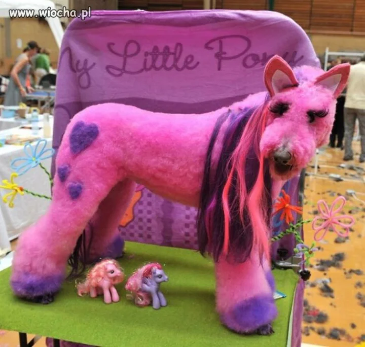 Fanka My Little Pony!?