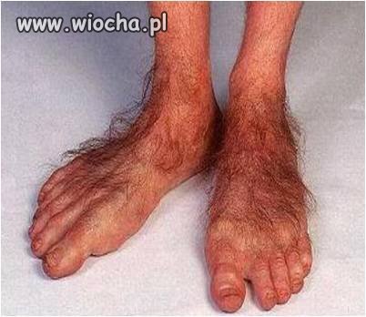 Włoski styl