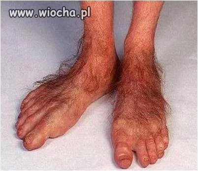 Włoski styl