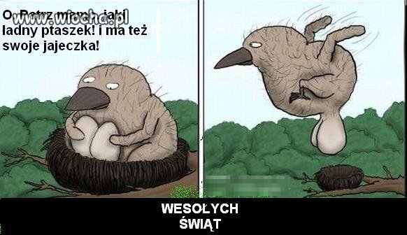 Nie ma to jak 