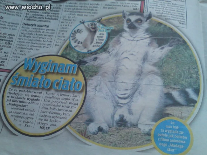 Dobre nieprawdaż??!!