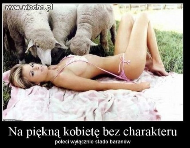 A przed nią bieży baranek...