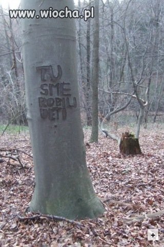 Nie tylko w Polsce są "artysci"