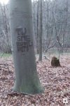 Nie tylko w Polsce są "artysci"