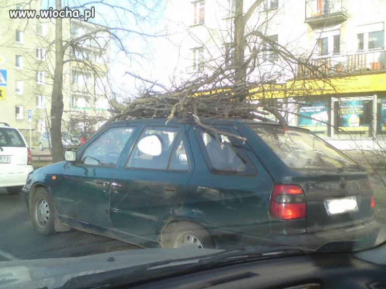 Jedzie sobie Pan do Warszawy