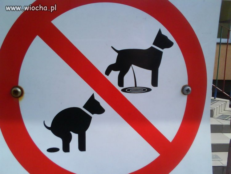 Takie znaki już na Polskich ulicach!