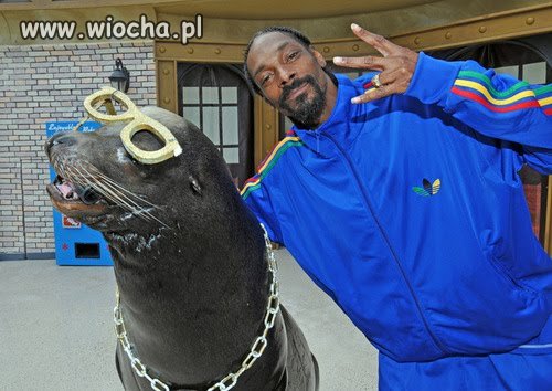 Snoopy-Foka